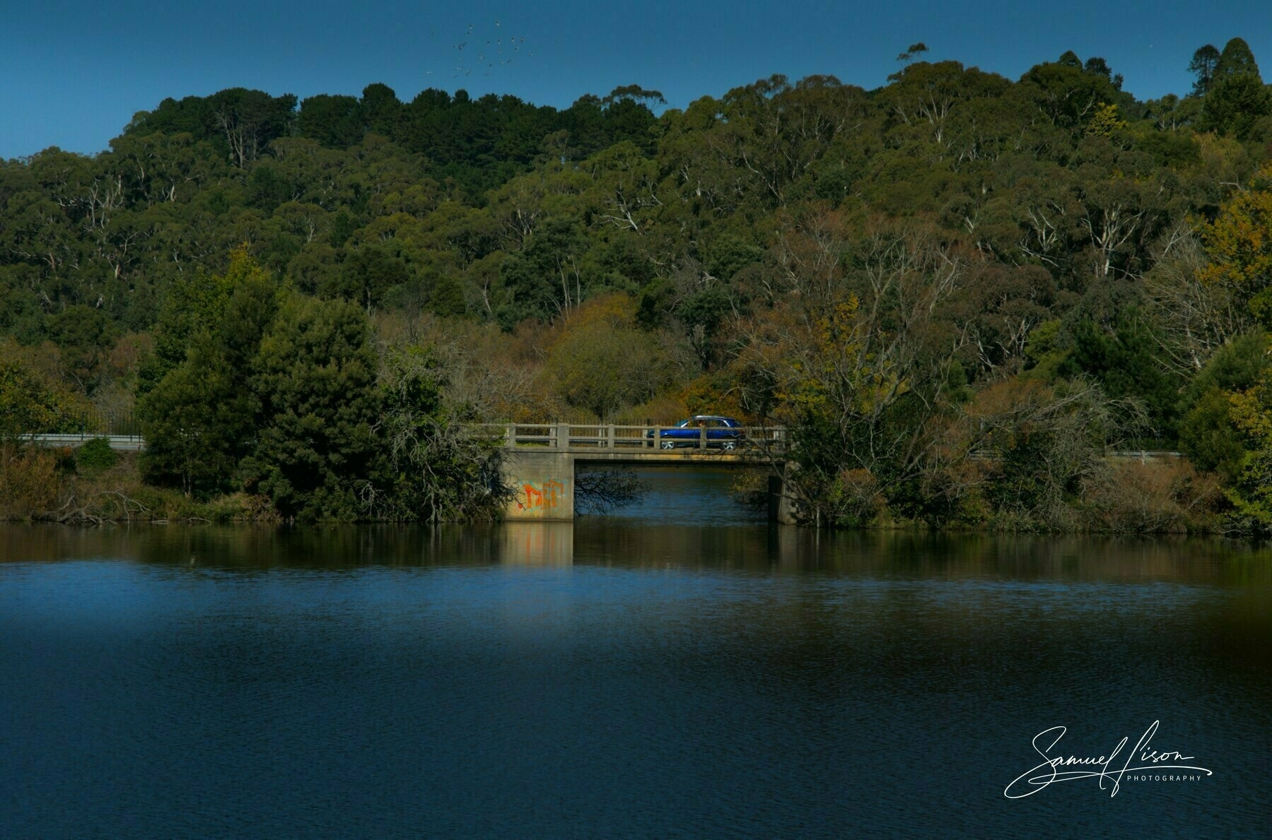 Auto-generated description: A serene lake is bordered by lush greenery and a bridge with a vehicle crossing over it in the background.