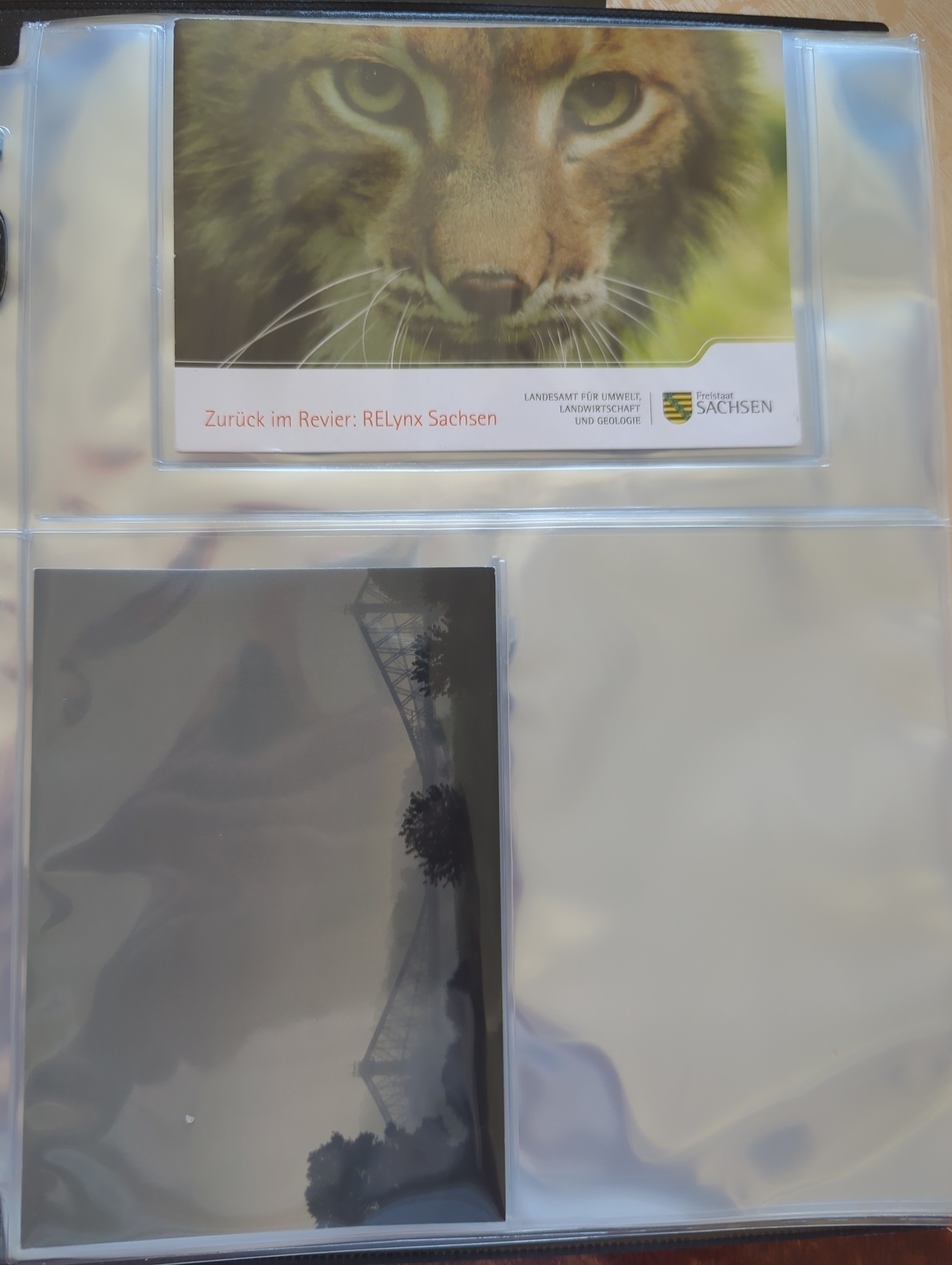 A sheet protector holds a color photo of a Lynx above a black and white photograph, with text in German included.