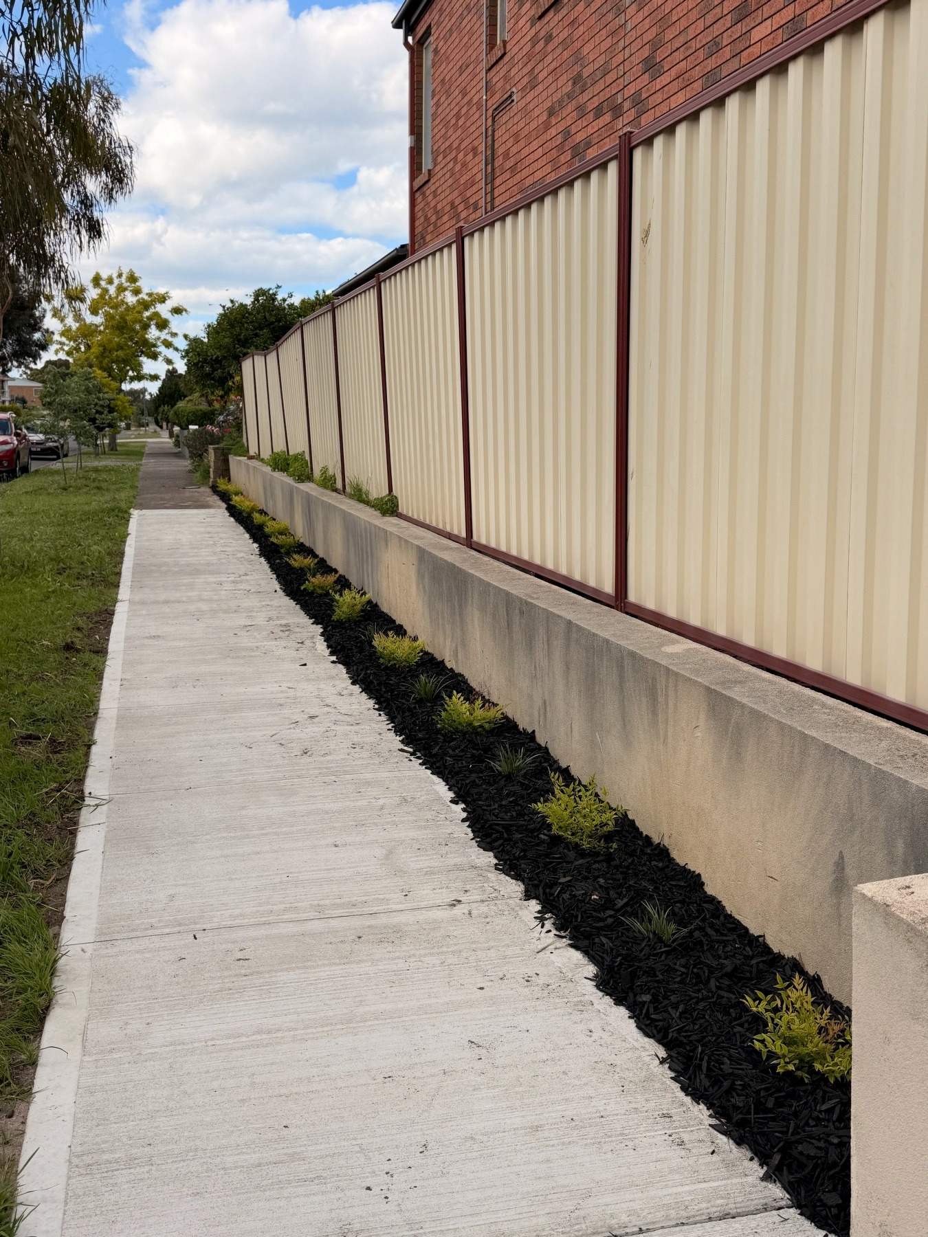 Featured Image for Samuel Lison