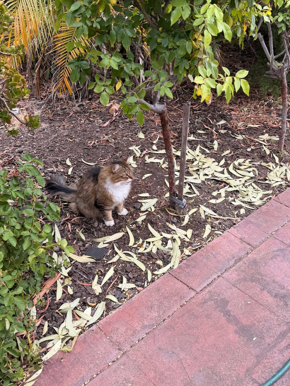 Featured Image for Samuel Lison