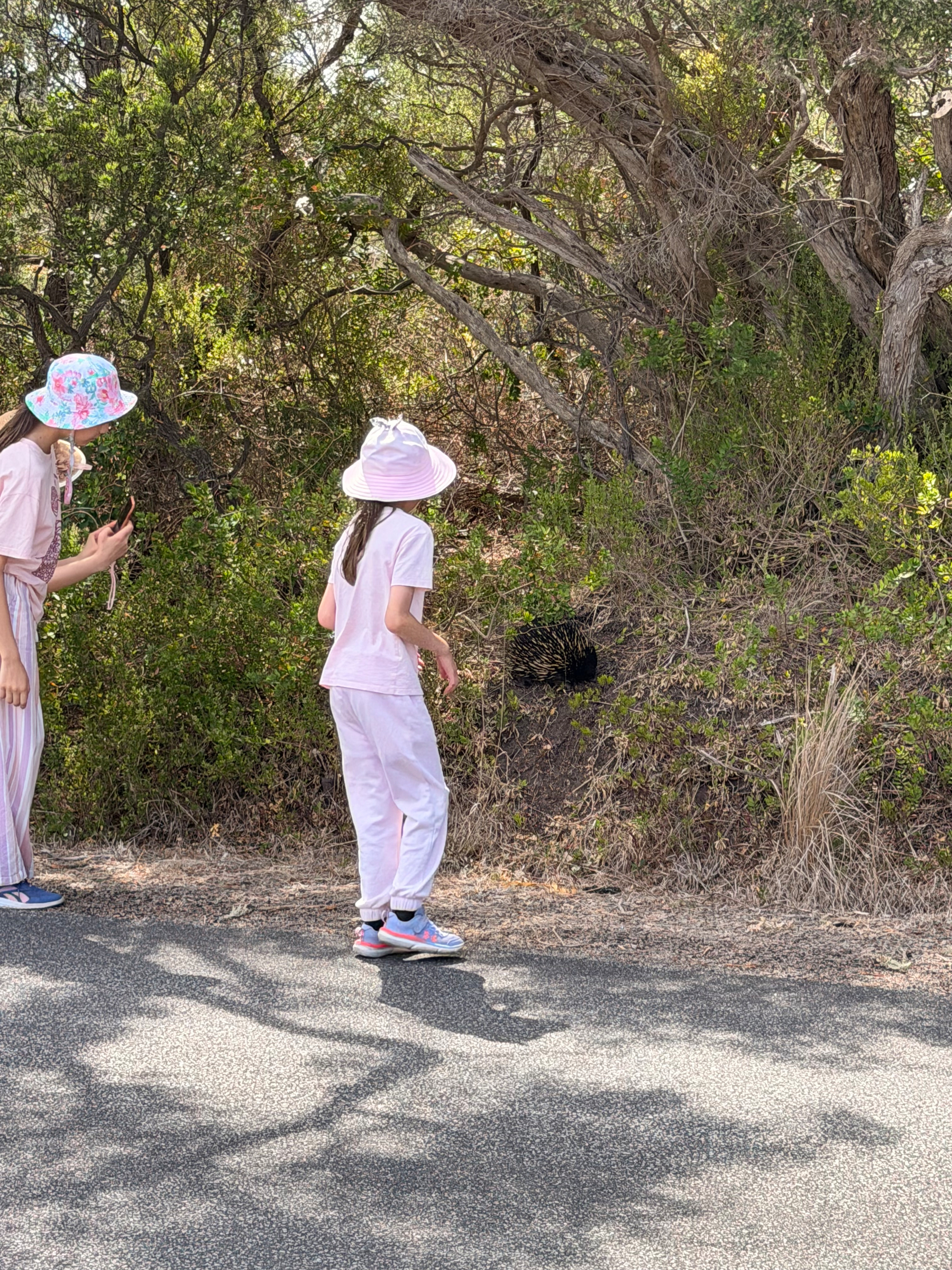 Featured Image for Samuel Lison